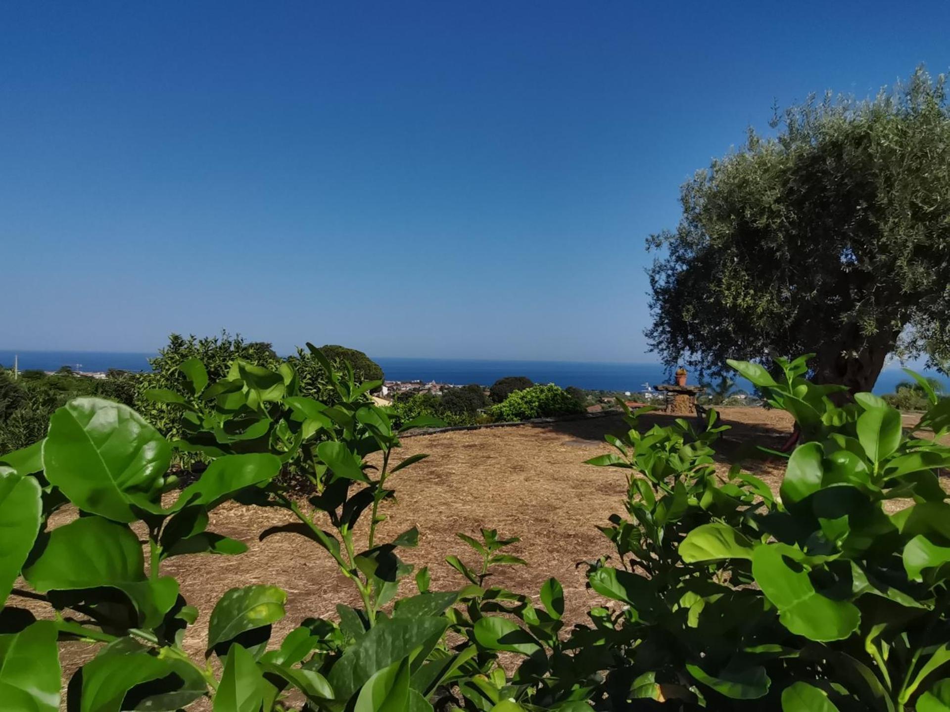Villa Profumo Di Zagara Acireale Exterior foto